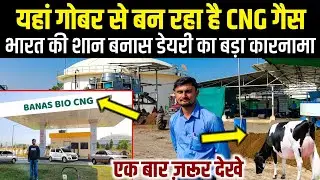 😱पशु गोबर से CNG, सभी अवश्य देखें- भारत की शान बनास डेयरी बना रही है गोबर से CNG 👌.