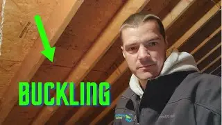 Roof Decking & H Clips