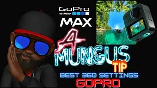 BEST SETTINGS GoPro Max | 360 Epic Footage Tips