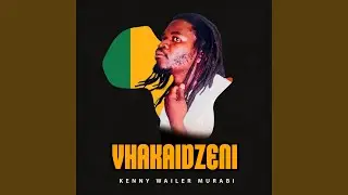 Vhakaidzeni