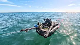 Solo spring shore diving with the Insta360 Ace Pro 2