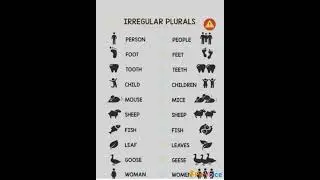 Irregular Pronouns