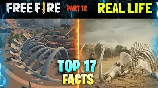 mysterious facts about free fire 🔥free fire funny shorts video