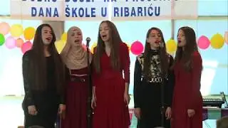 OŠ „Meša Selimović“ iz Ribarića obilježila Dan škole i 91 godinu postojanja