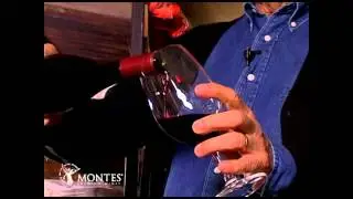 Montes Alpha Syrah | Montes Wines