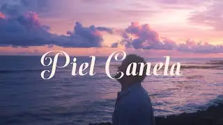 Townix - Piel Canela (Visualizer)