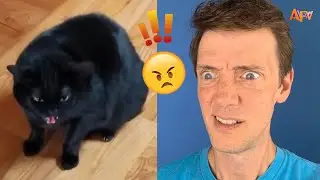[30 min] Try Not To Laugh Challenge! | Funny Videos with AFV Live!