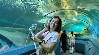 Pimmy day off: Underwater World Pattaya June 2024