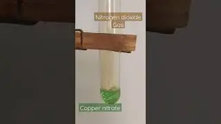 concentrated nitric acid addition to copper wire #shorts