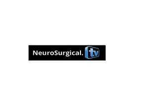 Chinese Neurosurgical Journal #5 on June 12, 2022 with Ali Krisht MD Main Speaker