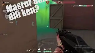 Viper Kills