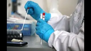 Заболеваемость COVID-19 в Югре за неделю выросла более чем на 50 %