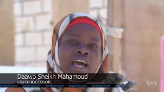 Somali Fishermen Struggle to Compete with Foreign Vessels