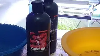 REVIEW PEMAKAIAN 