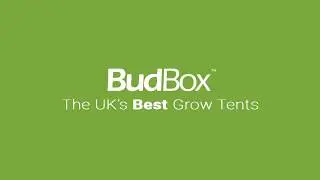 The BudBox grow tent teaser video - NPK Media