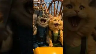 GREY & RED CAT  Roller coaster / Американские горки