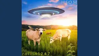 HSOM