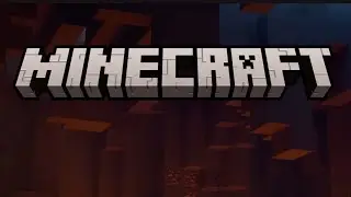 Im going to see if you guys want to see Minecraft videos