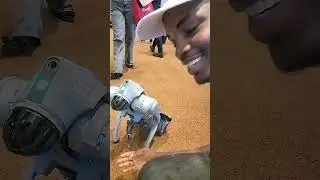 Inspection and surveillance robot i met at SPE NAICE Conference 