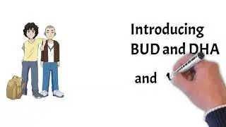 BUD and DHA /Mindful Detectives Theme song