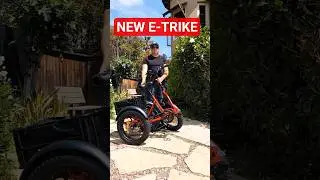New Beecool Bee Zipper Folding eTrike #etrike