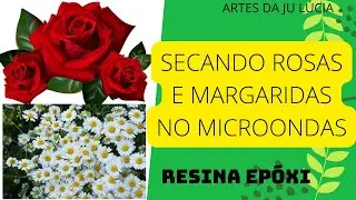 COMO SECAR ROSAS E MARGARIDAS NO MICROONDAS - FLORES  DESIDRATADAS PARA RESINA