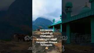 കൊല്ലങ്കോട്ടെ സുന്ദരമായ വേങ്ങപ്പാറ പള്ളി 🕌 | Vengappara Palli & Thenmala View #Palakkad Diaries