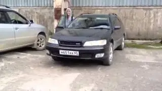 Тифон