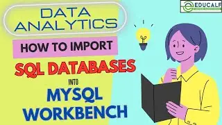 Data Analytics How to Import Databases into MYSQL workbench |  Educalf
