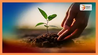 TVET and KENHA launch tree planting exercise along highways