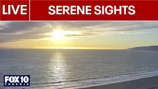 🔴LIVE WEBCAMS around the world | February 13 | FOX 10 Phoenix