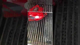 Grillbot customer review - the best invention ever!