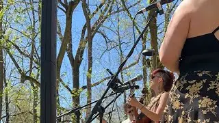 Fancy and the Gentlemen live on the lawn