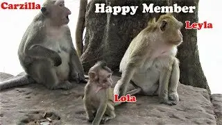 Poor Carbzilla Monkey Enjoys Playing With Family Of Leyla & Cute Baby Lola