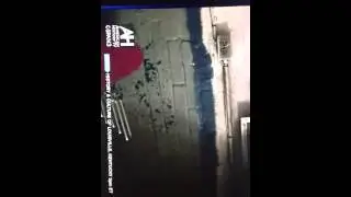 Missouri State Penitentiary video2