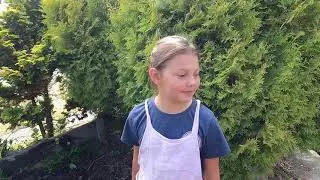 Chickens Jumping for Worms!