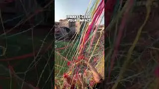 Check out this #confetti #confetticannons #celebration #congratulations !