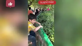 please #subscribe 🥰#zoo #viral #master butter #ytshorts #ytshorts #wildlife #forest #animals