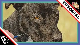 Watercolor Step by Step Techniques - How to add watercolour white to black fur