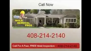 Mold Removal Campbell CA - Mold Removal Pros - 408-214-2140