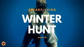 Alchemy Spearfishing | Winter Hunt