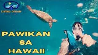 Ocean Adventure Sa Hawaii