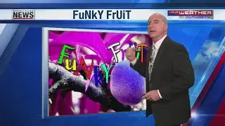 FuNkY FrUiT Singing Cukes 2