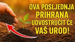 Ova POSLJEDNJA prihrana udvostručit će va&scaron; urod! Evo &scaron;to ODMAH trebate dodati u tlo.