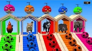 Scary Teacher 3D vs Squid Game Wheel Saw Hammer Honeycomb Candy Shapes Level Max 5 Times Challenge