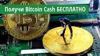 Как получить Bitcoin Cash (BCH) на Blockchain БЕСПЛАТНО?