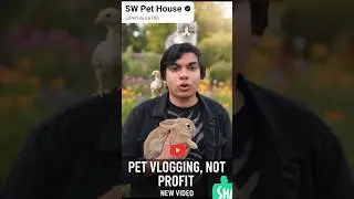 SW Pet House Quite Pet vloging 😱 #swpethouse #shehrmaindihat #petlovers #petvlogger #quite #viral