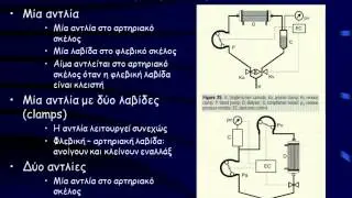 Αιμοκάθαρση (ΑΙΜΚ) - Μέθοδοι ΑΙΜΚ
