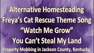 Alternative Homesteading, Freya&rsquo;s Cat Rescue Theme Song  | Watch Me Grow | Land Mobbing, Kentucky