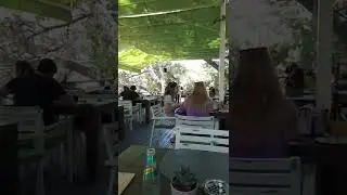 Restaurant Higo in Ulcinj Exclusive